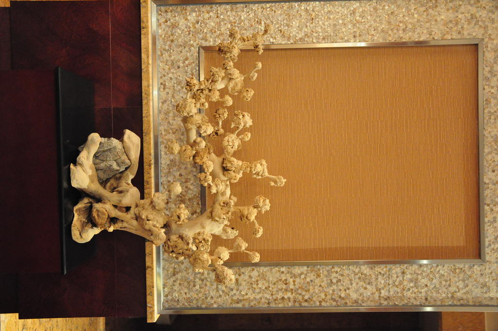 Cinese Hotel Dongguan Shijie Extérieur photo